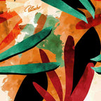 Kafita Saida Com Proteção Uv